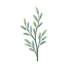 Thin stalk with oval leaves. Vector illustration on a white background.