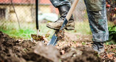 Worker digs soil with shovel in colorfull garden, workers loosen black dirt at farm, agriculture concept autumn detail. Man boot or shoe on spade prepare for digging...