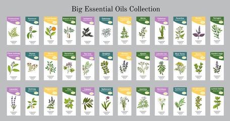 Big set of essential oil labels - obrazy, fototapety, plakaty