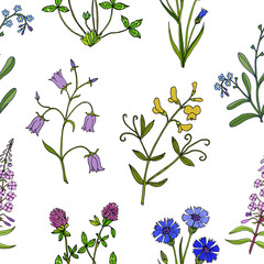 Seamless pattern with hand drawn wild flowers