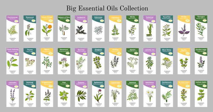 Big set of essential oil labels