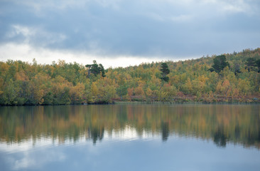 Lake in autumn. Abisko national park in north of Sweden.