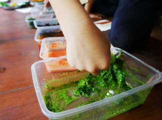 fresh of leaves from natural concept art