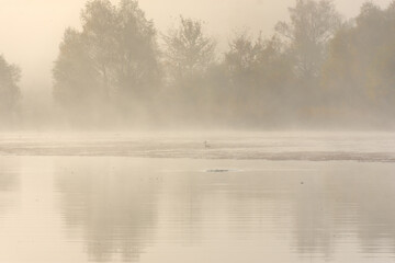 Obraz na płótnie Canvas Landscape with fog over lake