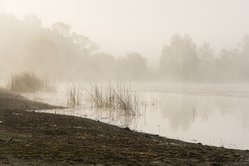 Landscape with fog over lake