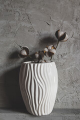 branches of cotton in a vase on a background