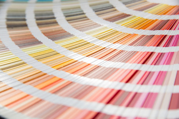 multicolored strips of paper spread out in a fan