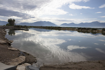 Utah Lake, Sunrise, Wildlife