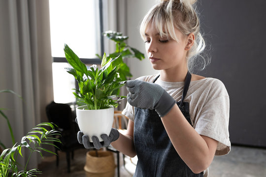 Young Woman Caring For Houseplants In Loft Interior