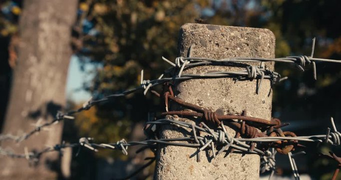 Close-up shot of old rusty barbed wire fence at a farm. Trees in the background.  4K clip