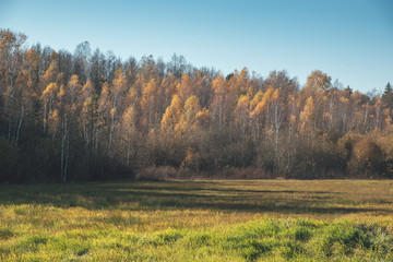 Field and forest in autumn colors.