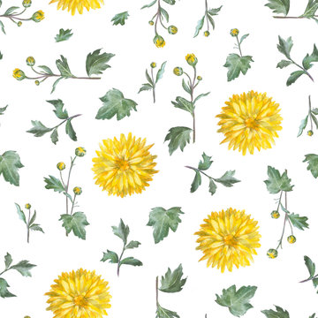 Seamless pattern: yellow chrysanthemum with leaves.  Flowers isolated on a white.