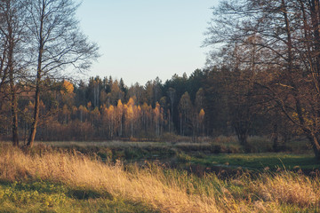A small river flows through the autumn forest.