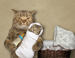 The cat feeds its kitten with milk from a bottle near the pram. Beige background.