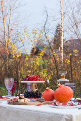 Outdoor standing decorated table with cheese platter on wooden board, pumpkins, grapes, figs,...