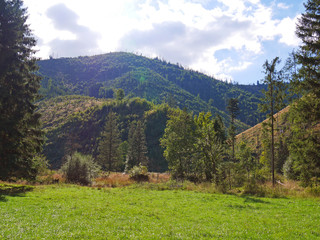 mountain landscape nature forest
