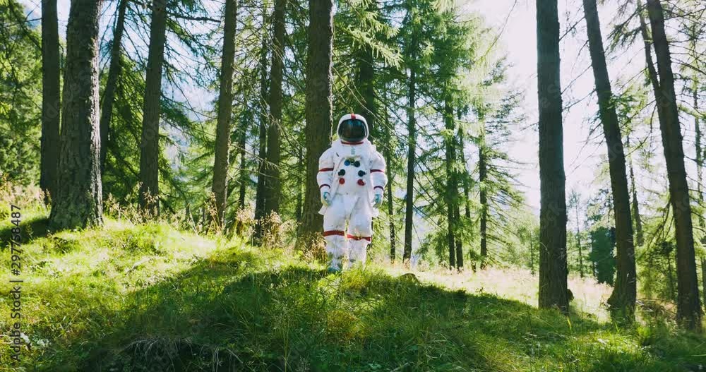 Wall mural astronaut has find a new planet similar to earth with nature and forests