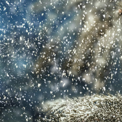 Christmas tree and free space for your decoration. 