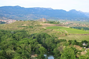 Fototapeta na wymiar Picturesque panorama of the fields and mountains in the vicinity of the town of Briones. Spain, June 22, 2019