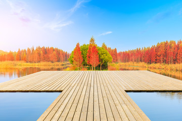 Empty wooden board square and beautiful colorful forest in autumn