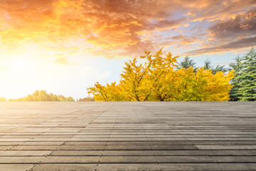 Naklejka na ściany i meble Empty wooden board square and yellow ginkgo tree in autumn