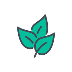 Tea leaves color line icon. Bunch of leaves vector outline colorful sign.