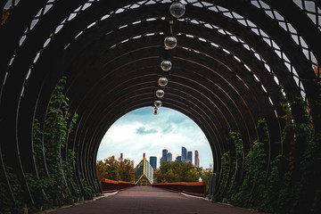 Fototapeta premium Autumn cityscape of Moscow. View from the bridge in the park.