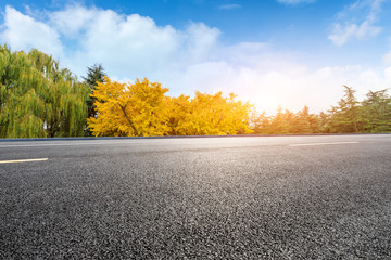 Empty asphalt road and yellow ginkgo trees nature landscape