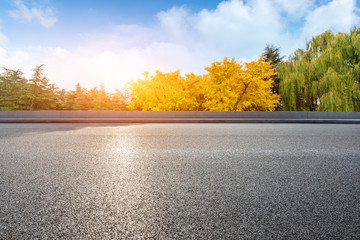Empty asphalt road and yellow ginkgo trees nature landscape