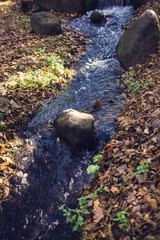 a small stream in the autumn forest