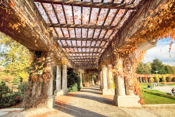 WROCLAW, POLAND - OCTOBER 18, 2019: Pergola - a 640 meter long structure built in 1913 in the shape...