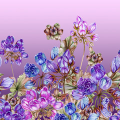 Beautiful tulip-flowered pelargoniums flowers with green leaves on gradient background. Seamless floral pattern, border. Watercolor painting. Hand painted illustration