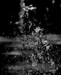 drops of water with splashes on a black background