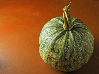 Green homegrown organic pumpkin on a red floor surface.