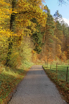 Autumn landscape with a path beside a meadow