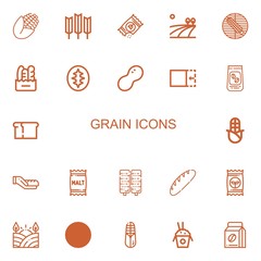 Editable 22 grain icons for web and mobile