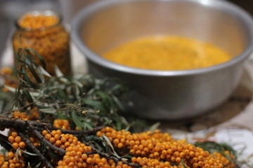 the orange gifts of nature are sea buckthorn