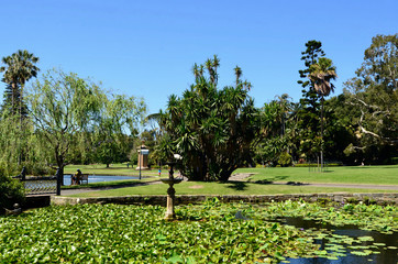 A view in the Royal Botanic Gardens in Sydney.