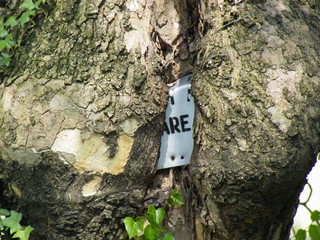 cartello nella corteccia