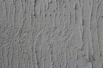 the texture of the primer wall