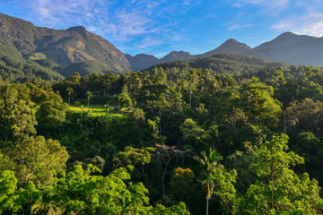 Sri Lanka highlands landscape mountains