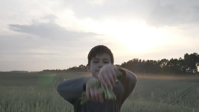 happy boy throws up wheat ears to the sky in the field in the evening slow motion