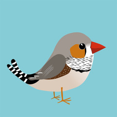  An illustration of a cute male zebra finch