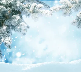 Poster Sneeuwval in winter forest. Beautiful landschap met besneeuwde sparren en sneeuwbanken. © Lilya