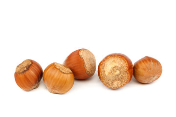 Hazelnut on a isolated on white background