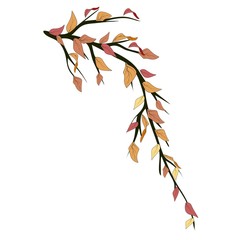 Sketch branch with autumn leaves for celebration decoration design. Colorful vector illustration. Autumn tree vector. Leaf plant botanical garden floral foliage.