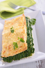 spinach and cheese lasagne- health food