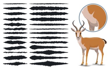 Animal fur texture brush strokes, design elements