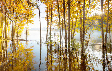 Fototapeta premium Autumn lake