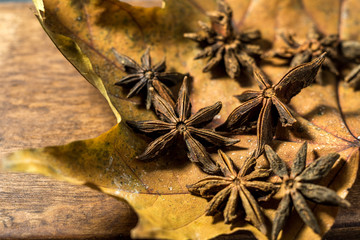 star anise isolated on autumn background